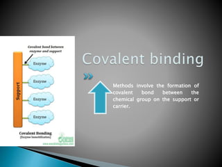 Methods involve the formation of
covalent bond between the
chemical group on the support or
carrier.
 