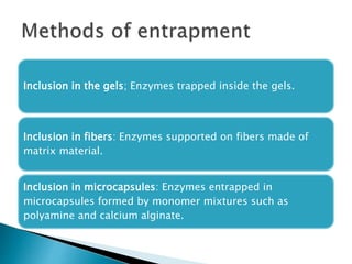 Inclusion in the gels; Enzymes trapped inside the gels.
Inclusion in fibers: Enzymes supported on fibers made of
matrix material.
Inclusion in microcapsules: Enzymes entrapped in
microcapsules formed by monomer mixtures such as
polyamine and calcium alginate.
 
