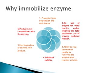 1. Protection from
degradation and
deactivation 2.Re- use of
enzyme for many
reaction cycles,
lowering the total
production cost of
enzyme mediated
reaction.
3.Ability to stop
the reaction
rapidly by
removing the
enzyme from
reaction solution.
4.Enhanced
stability.
5.Easy separation
of enzyme from
product.
6.Product is not
contaminated with
the enzyme.
 