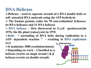 DNA Helicase
Helicase – used to separate strands of a DNA double helix or
self- annealed RNA molecule using the ATP hydrolysis
 The human genome codes for 95 non-redundant helicases:
64 RNA helicases and 31 DNA helicase
 DNA helicase – first discovered in E.coli (prokaryote)in
1976; the lily plant (eukaryote) in 1978
Role: “ unwinding of DNA helix during replication in a
ATP- dependent reaction ’’ - resulting in DNA replication
fork
It maintains 3000 resolution/minute
Depending on work – Classified as α
helicase (works on single strand ) & β
helicase (works on double strand)
 