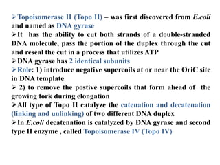 Topoisomerase II (Topo II) – was first discovered from E.coli
and named as DNA gyrase
It has the ability to cut both strands of a double-stranded
DNA molecule, pass the portion of the duplex through the cut
and reseal the cut in a process that utilizes ATP
DNA gyrase has 2 identical subunits
Role: 1) introduce negative supercoils at or near the OriC site
in DNA template
 2) to remove the postive supercoils that form ahead of the
growing fork during elongation
All type of Topo II catalyze the catenation and decatenation
(linking and unlinking) of two different DNA duplex
In E.coli decatenation is catalyzed by DNA gyrase and second
type II enzyme , called Topoisomerase IV (Topo IV)
 