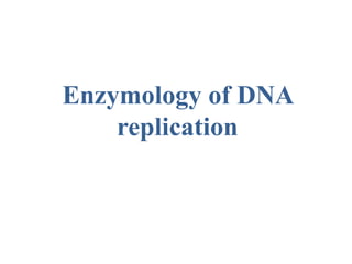 Enzymology of DNA
replication
 