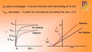 Km value is unchanged - I do not interfere with the binding of S to E 
Vmax decreases - I cannot be overcome by increasing the conc. of S 
No inhibitor 
Inhibitor 
Vmax 
Vmax i 
½ Vmax 
Km [s] 
v 
½ Vmax i 
Inhibitor 
No Inhibitor 
1 
Vmax 
1 
Km 
1/s 
1/v 
- 
 