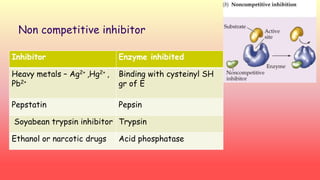 Non competitive inhibitor 
Inhibitor Enzyme inhibited 
Heavy metals – Ag2+ ,Hg2+ , 
Pb2+ 
Binding with cysteinyl SH 
gr of E 
Pepstatin Pepsin 
Soyabean trypsin inhibitor Trypsin 
Ethanol or narcotic drugs Acid phosphatase 
 