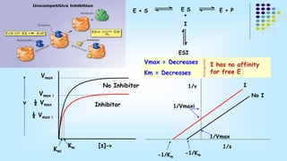 E + S 
E S E + P 
+ 
I 
ESI 
Inhibitor 
Vmax 
Vmax i 
½ Vmax 
Km [s] 
½ Vmax i 
Vmax = Decreases 
Km = Decreases 
Kmi 
v 
I has no affinity 
for free E 
No Inhibitor I 
No I 
-1/Km 
1/v 
-1/Km 
1/Vmax 
1/Vmaxi 
1/s 
 