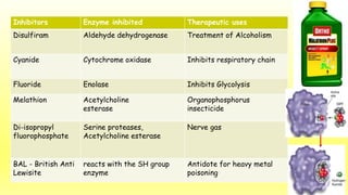 Inhibitors Enzyme inhibited Therapeutic uses 
Disulfiram Aldehyde dehydrogenase Treatment of Alcoholism 
Cyanide Cytochrome oxidase Inhibits respiratory chain 
Fluoride Enolase Inhibits Glycolysis 
Melathion Acetylcholine 
esterase 
Organophosphorus 
insecticide 
Di-isopropyl 
fluorophosphate 
Serine proteases, 
Acetylcholine esterase 
Nerve gas 
BAL - British Anti 
Lewisite 
reacts with the SH group 
enzyme 
Antidote for heavy metal 
poisoning 
 