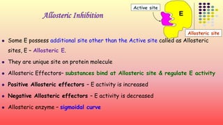 Allosteric Inhibition E 
 Some E possess additional site other than the Active site called as Allosteric 
sites, E – Allosteric E. 
 They are unique site on protein molecule 
 Allosteric Effectors– substances bind at Allosteric site & regulate E activity 
 Positive Allosteric effectors – E activity is increased 
 Negative Allosteric effectors – E activity is decreased 
 Allosteric enzyme – sigmoidal curve 
Active site 
Allosteric site 
 