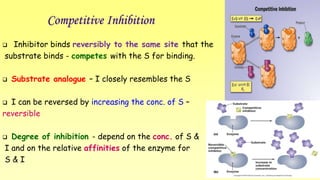 Competitive Inhibition 
 Inhibitor binds reversibly to the same site that the 
substrate binds - competes with the S for binding. 
 Substrate analogue – I closely resembles the S 
 I can be reversed by increasing the conc. of S – 
reversible 
 Degree of inhibition - depend on the conc. of S & 
I and on the relative affinities of the enzyme for 
S & I 
 