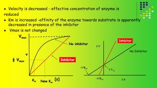  Velocity is decreased - effective concentration of enzyme is 
reduced 
 Km is increased -affinity of the enzyme towards substrate is apparently 
decreased in presence of the inhibitor 
 Vmax is not changed 
No inhibitor 
Inhibitor 
Vmax 
½ Vmax 
Km New Km 
[s] 
v 
1/Vm 
-1/Km 
1/S 
1/V 
No Inhibitor 
-1/Km 
Inhibitor 
 