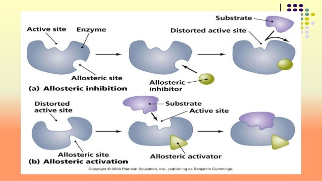 allosteric inhibition