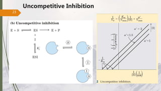 Uncompetitive Inhibition
23
 
