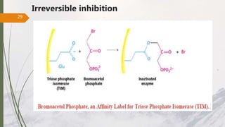 Irreversible inhibition
29
 