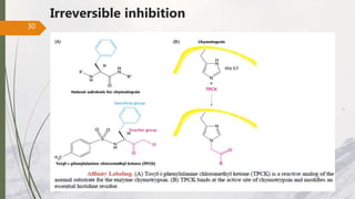 Irreversible inhibition
30
 