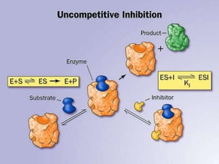 Enzyme inhibition in brief and their examples | PDF