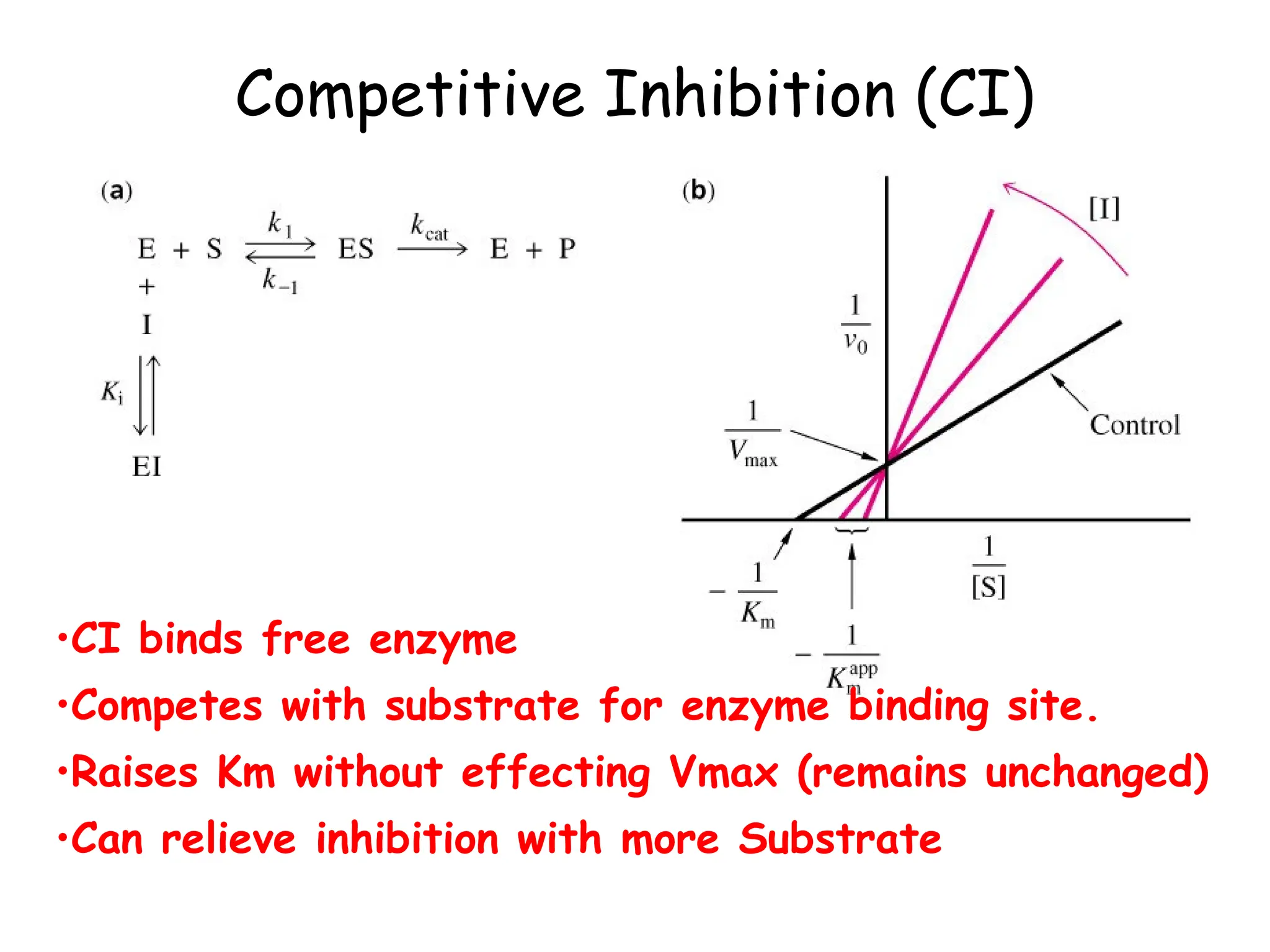 Enzyme Inhibition and Types of Reversible Enzyme Inhibitors.ppt