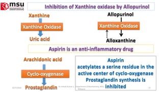 Allopurinol
Alloxanthine
Aspirin
acetylates a serine residue in the
active center of cyclo-oxygenase
Prostaglandin synthesis is
inhibited8/27/2010 22
Dr. Ashok KUmar J; ; Department of Biochemistry. MSU,
Malaysia
 