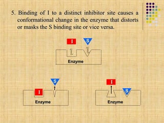 5. Binding of I to a distinct inhibitor site causes a
   conformational change in the enzyme that distorts
   or masks the S binding site or vice versa.

                        I       S



                       Enzyme



                  S                      I
           I                                     S

         Enzyme                         Enzyme
 