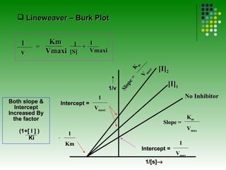  Lineweaver – Burk Plot


    1            Km    1 + 1
           =
    v           Vmaxi [S]  Vmaxi

                                                                      [I]2




                                                         m
                                                   K

                                                                  i
                                                               ax
                                                              m
                                                         V
                                                    e=
                                                                         [I]1




                                                  op
                                         1/v




                                               Sl
                                  1                                                 No Inhibitor
Both slope &       Intercept =
   Intercept                     Vmaxi
Increased By
  the factor                                                                        Km
                                                                       Slope =
   (1+[ I ] )                                                                       Vmax
                     1
       Ki
                     Km                                                         1
                                                             Intercept =
                                                                             Vmax
                                                              1/[s]→
 