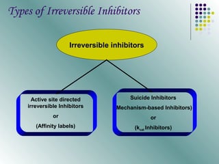 Types of Irreversible Inhibitors

                     Irreversible inhibitors




      Active site directed             Suicide Inhibitors
    irreversible Inhibitors       (Mechanism-based Inhibitors)
              or                                or
       (Affinity labels)                 (kcat Inhibitors)
 