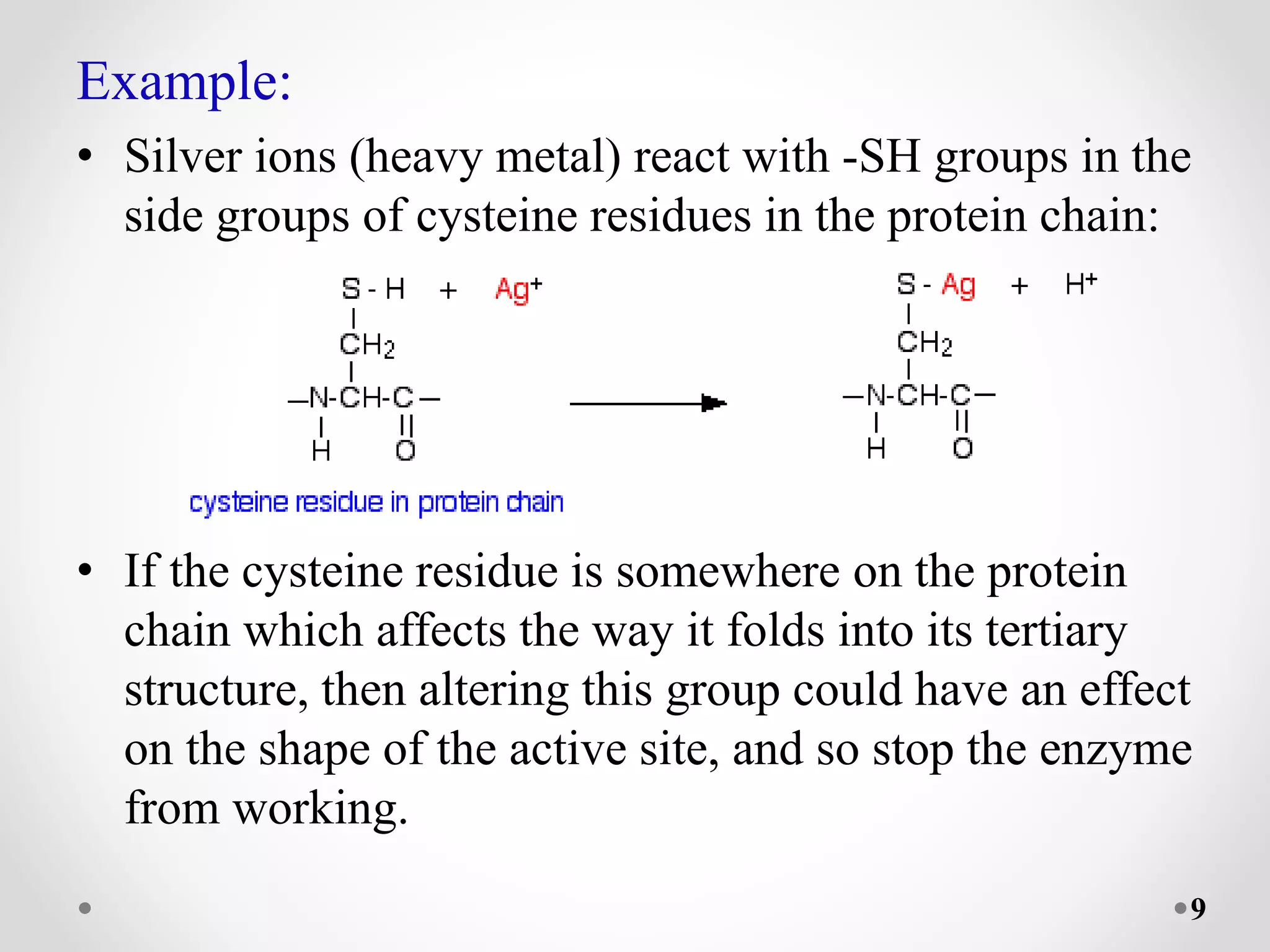 Example:
• Silver ions (heavy metal) react with -SH groups in the
side groups of cysteine residues in the protein chain:
• If the cysteine residue is somewhere on the protein
chain which affects the way it folds into its tertiary
structure, then altering this group could have an effect
on the shape of the active site, and so stop the enzyme
from working.
9
 
