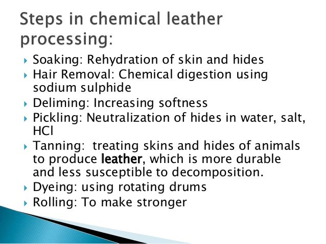 Enzyme In Leather