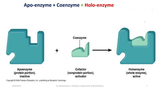 Enzyme introduction By Dr. Ashok Kumar J | PPTX