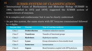 Enzyme introduction | PPTX