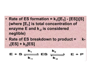 • Rate of ES formation = k1([ET] - [ES])[S]
(where [ET] is total concentration of
enzyme E and k-2 is considered
neglible)
• Rate of ES breakdown to product = k-
1[ES] + k2[ES]
 