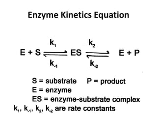 Enzyme Kinetics Equation
 