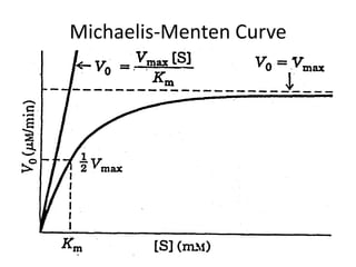 Michaelis-Menten Curve
 