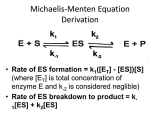 Michaelis-Menten Equation
               Derivation




• Rate of ES formation = k1([ET] - [ES])[S]
  (where [ET] is total concentration of
  enzyme E and k-2 is considered neglible)
• Rate of ES breakdown to product = k-
  1[ES] + k2[ES]
 