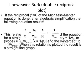 Lineweaver-Burk (double reciprocal
                   plot)
• If the reciprocal (1/X) of the Michaelis-Menten
  equation is done, after algebraic simplification the
  following equation results:


• This relation is written in the format of the equation
  for a straight line, y = mx + b, where y = 1/vo, m
  (slope) = Km/Vmax, x = 1/[S] and the y-intercept, b
  = 1/Vmax. When this relation is plotted,the result is
  a straight line graph
 