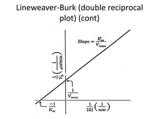 Lineweaver-Burk (double reciprocal
           plot) (cont)
 