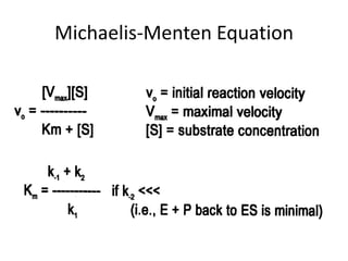 Enzyme Kinetics