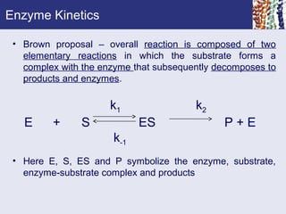 Enzyme Kinetics
• Brown proposal – overall reaction is composed of two
elementary reactions in which the substrate forms a
complex with the enzyme that subsequently decomposes to
products and enzymes.
• Here E, S, ES and P symbolize the enzyme, substrate,
enzyme-substrate complex and products
k1 k2
E + S ES P + E
k-1
 