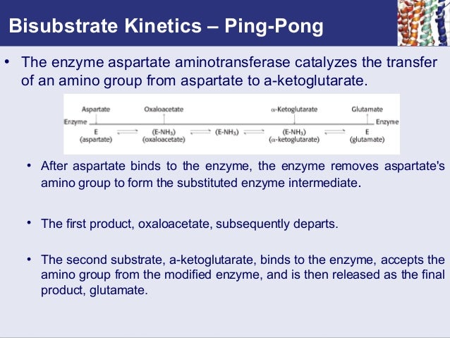 Enzyme kinetics