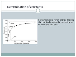 Determination of constants
Saturation curve for an enzyme showing
the relation between the concentration
of substrate and rate.
 
