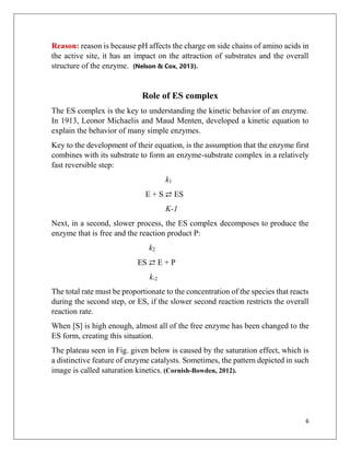 Enzyme kinetics.docx