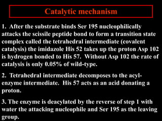 Catalytic mechanism
1. After the substrate binds Ser 195 nucleophilically
attacks the scissile peptide bond to form a transition state
complex called the tetrahedral intermediate (covalent
catalysis) the imidazole His 52 takes up the proton Asp 102
is hydrogen bonded to His 57. Without Asp 102 the rate of
catalysis is only 0.05% of wild-type.
2. Tetrahedral intermediate decomposes to the acyl-
enzyme intermediate. His 57 acts as an acid donating a
proton.
3. The enzyme is deacylated by the reverse of step 1 with
water the attacking nucleophile and Ser 195 as the leaving
group.
 
