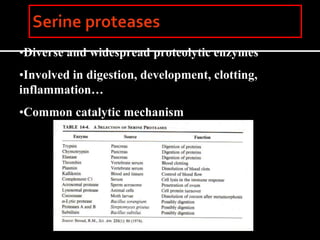 •Diverse and widespread proteolytic enzymes
•Involved in digestion, development, clotting,
inflammation…
•Common catalytic mechanism
 