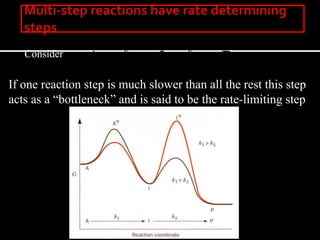 Consider
PA 21
 kk
I
If one reaction step is much slower than all the rest this step
acts as a “bottleneck” and is said to be the rate-limiting step
 