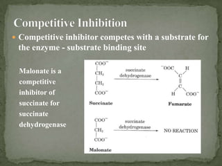  Competitive inhibitor competes with a substrate for
 the enzyme - substrate binding site

 Malonate is a
 competitive
 inhibitor of
 succinate for
 succinate
 dehydrogenase
 
