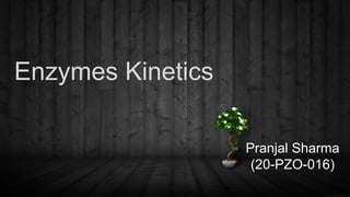 Enzymes Kinetics
Pranjal Sharma
(20-PZO-016)
 