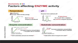 enzyme kinetics Manohar FINAL.pptx microbiology | PPTX