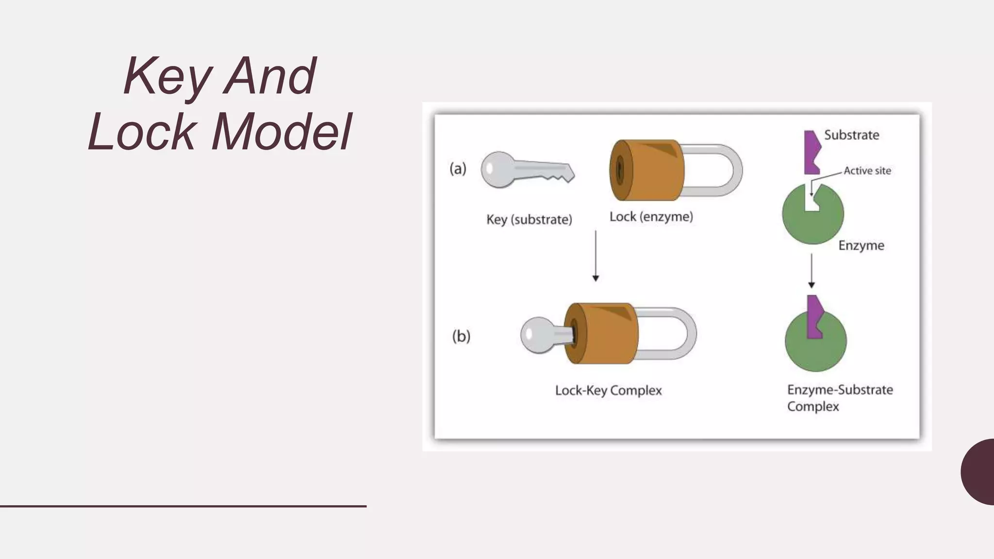 Key And
Lock Model
 