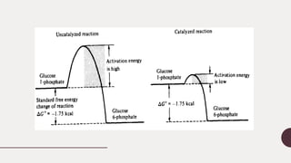 Enzyme kinetics presentation | PPTX