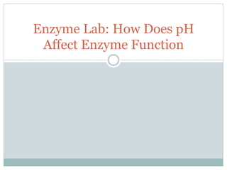 Enzyme Lab: How Does pH
 Affect Enzyme Function
 