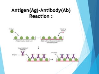 Antigen(Ag)-Antibody(Ab)
Reaction :
 