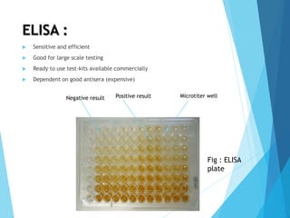 ELISA :
 Sensitive and efficient
 Good for large scale testing
 Ready to use test-kits available commercially
 Dependent on good antisera (expensive)
Negative result Positive result Microtiter well
Fig : ELISA
plate
 