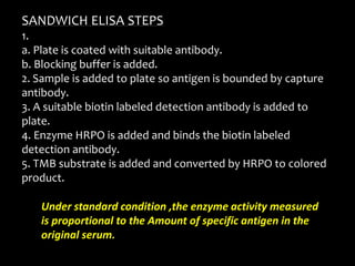 SANDWICH ELISA STEPS
1.
a. Plate is coated with suitable antibody.
b. Blocking buffer is added.
2. Sample is added to plate so antigen is bounded by capture
antibody.
3. A suitable biotin labeled detection antibody is added to
plate.
4. Enzyme HRPO is added and binds the biotin labeled
detection antibody.
5. TMB substrate is added and converted by HRPO to colored
product.
Under standard condition ,the enzyme activity measured
is proportional to the Amount of specific antigen in the
original serum.
 